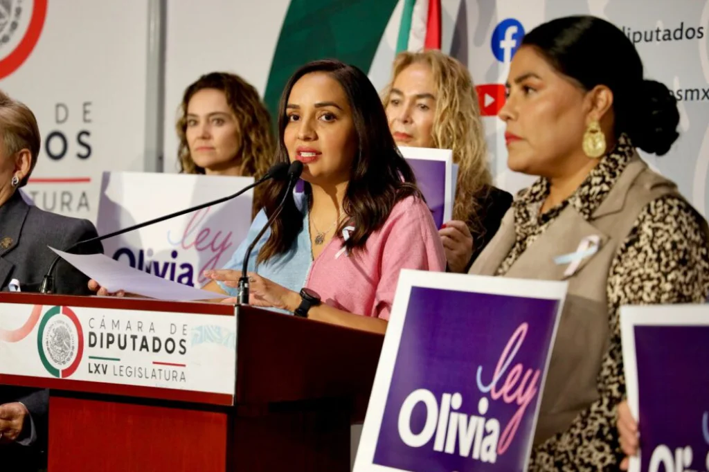 Mariana Nassar impulsa la “Ley Olivia” para acompañar a familias ante la pérdida de un bebé